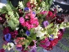 flower-variety