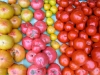 fullsunfarm_2-1