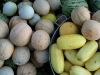 melons