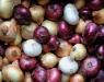 onions