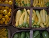 squash-varieties