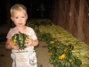 squash