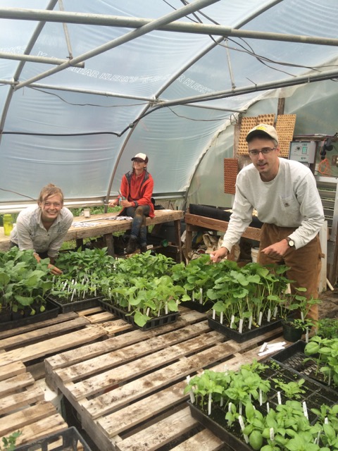 Julia, Jason & Lindsey in the greenhouse getting’ things in order.