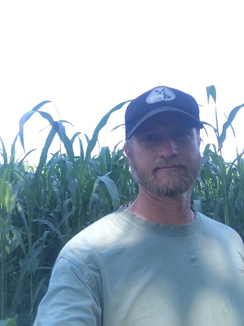 Wanted to show how much the summer cover crop has grown! over 6'