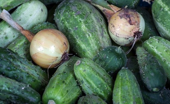 cucumbers-onions