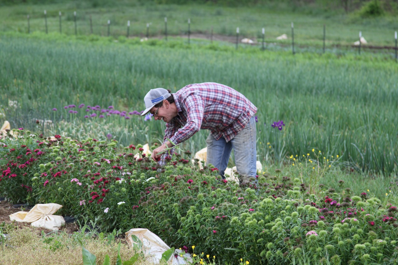 Extended Working Share - Sat/UNCA