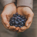 blueberries from Full Sun Farm