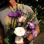 Full Sun Farm flowers