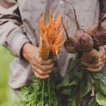 Full Sun Farm carrots and beets