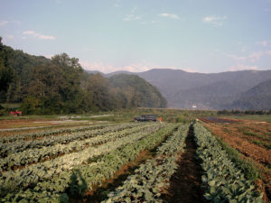 Full Sun Farm fields