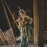 Full Sun Farm garlic harvest