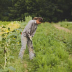 working the fields at Full Sun Farm