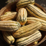 winter squash from Full Sun Farm