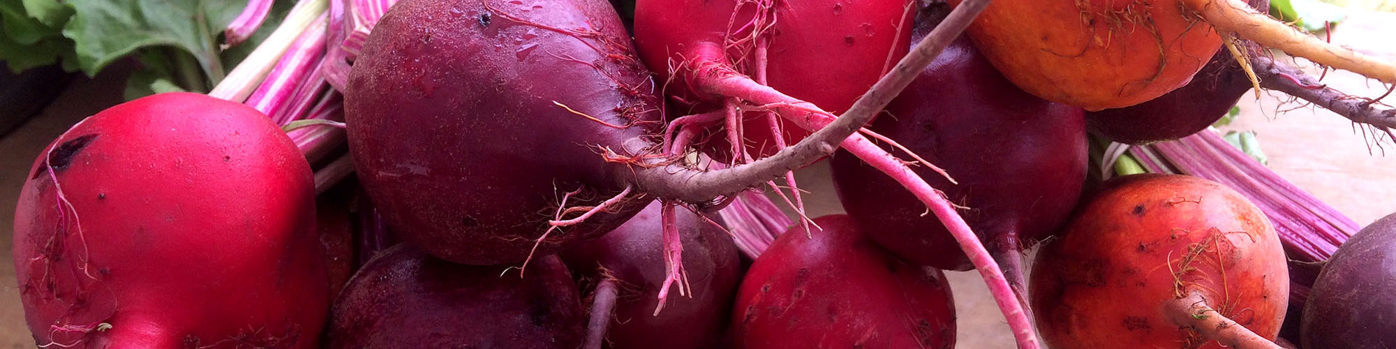 Beets from Full Sun Farm