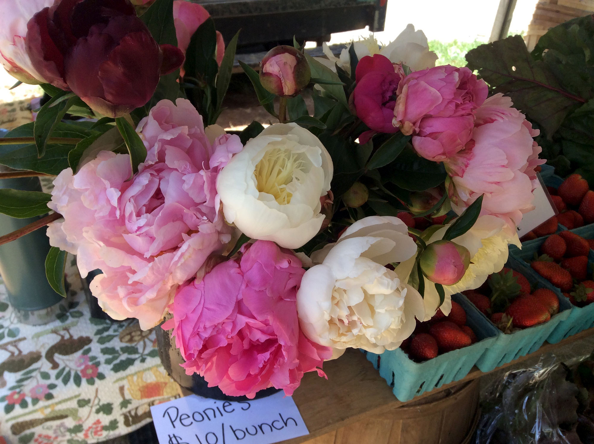 Flowers from Full Sun Farm