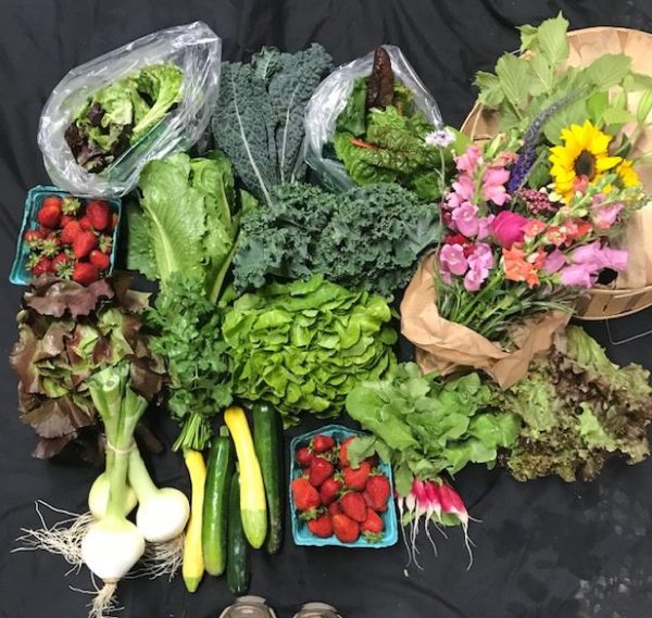 CSA: 2025 Market Share - $300
