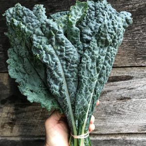 aVeg: Kale, Lacinato/Black - bunch