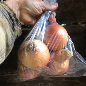 aVeg: Onions, yellow 1.75 lbs