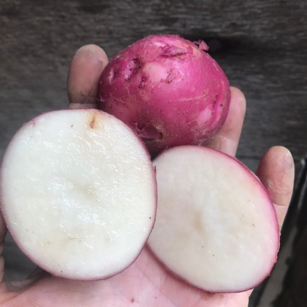 aVeg: Potatoes, Red 1.75 lbs - Image 3