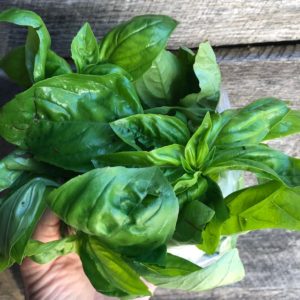 aVeg: Basil - bag
