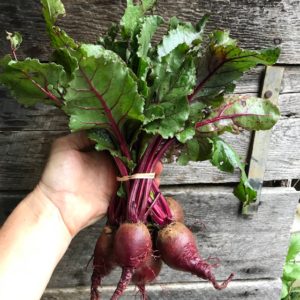 aVeg: Beets,  Red with tops